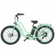 High Quality 48V Woman Fat Tyre Snow Electric Bike